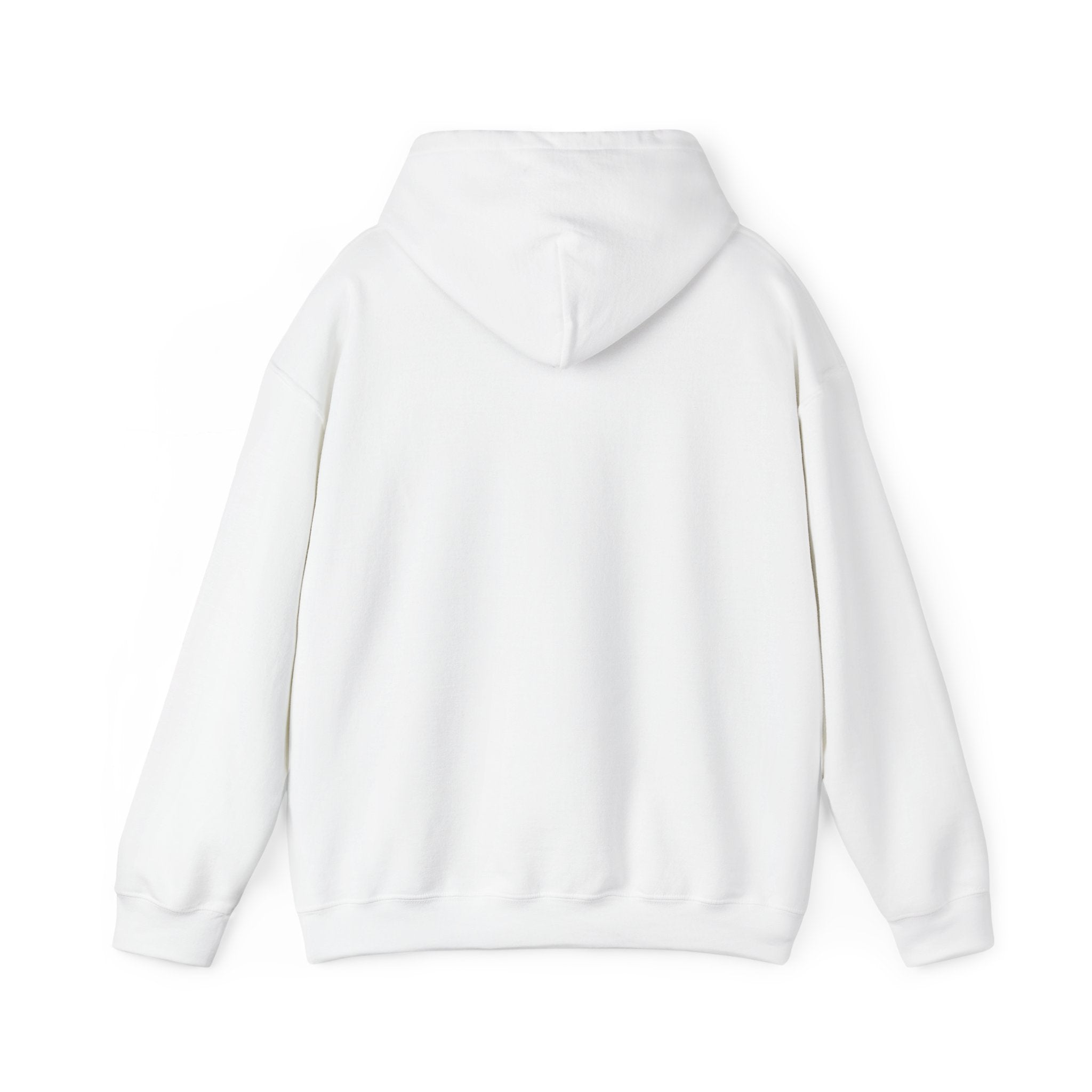 Funny Minimalist Unisex Hoodie — I Can't, I Have Plans To Do Nothing