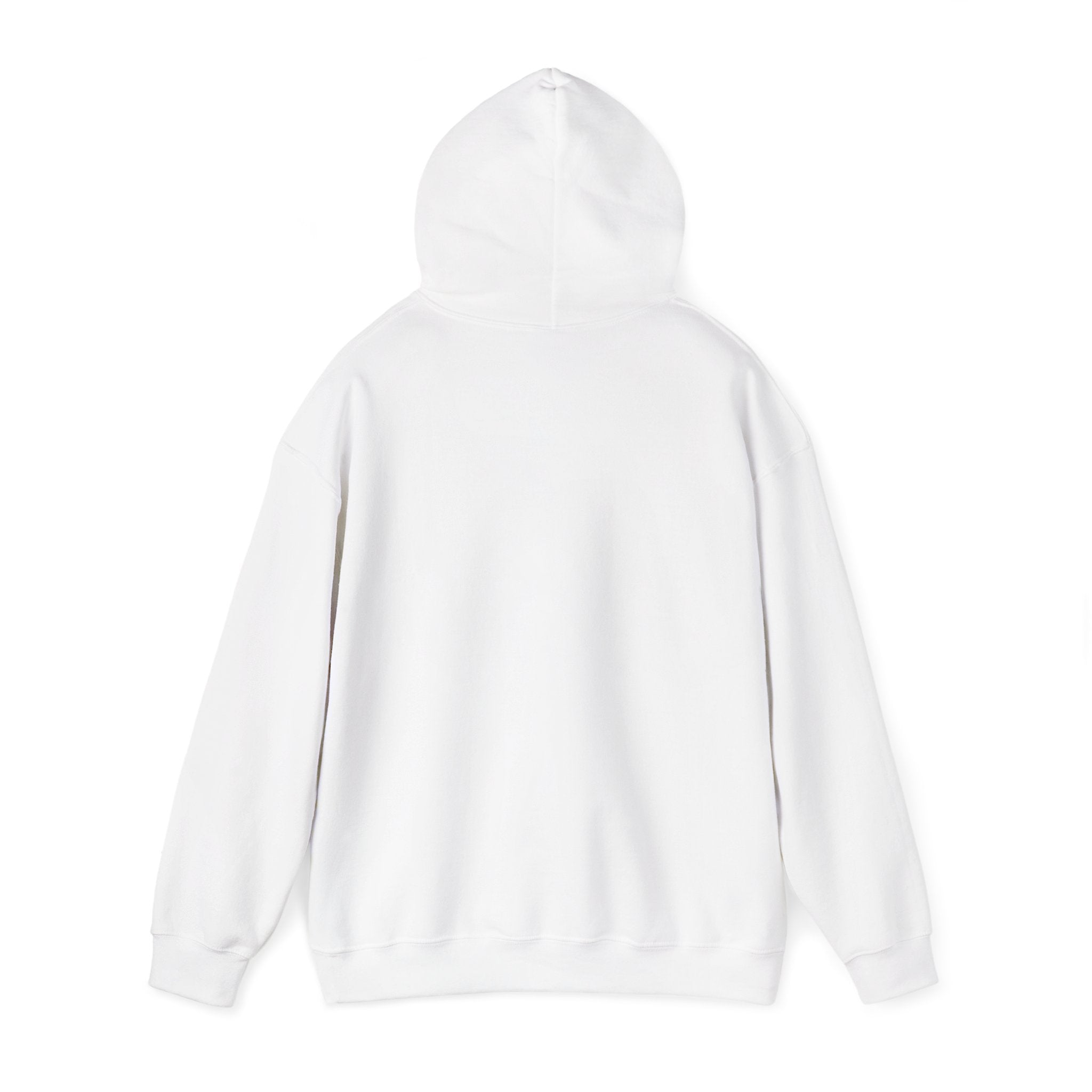 Funny Minimalist Unisex Hoodie — I Can't, I Have Plans To Do Nothing
